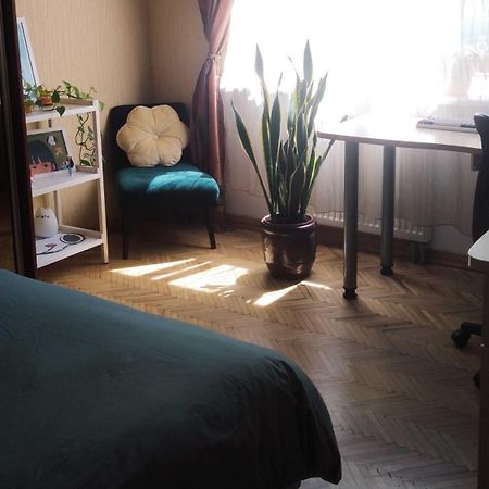 Cozy Room In Kaunas Luaran gambar